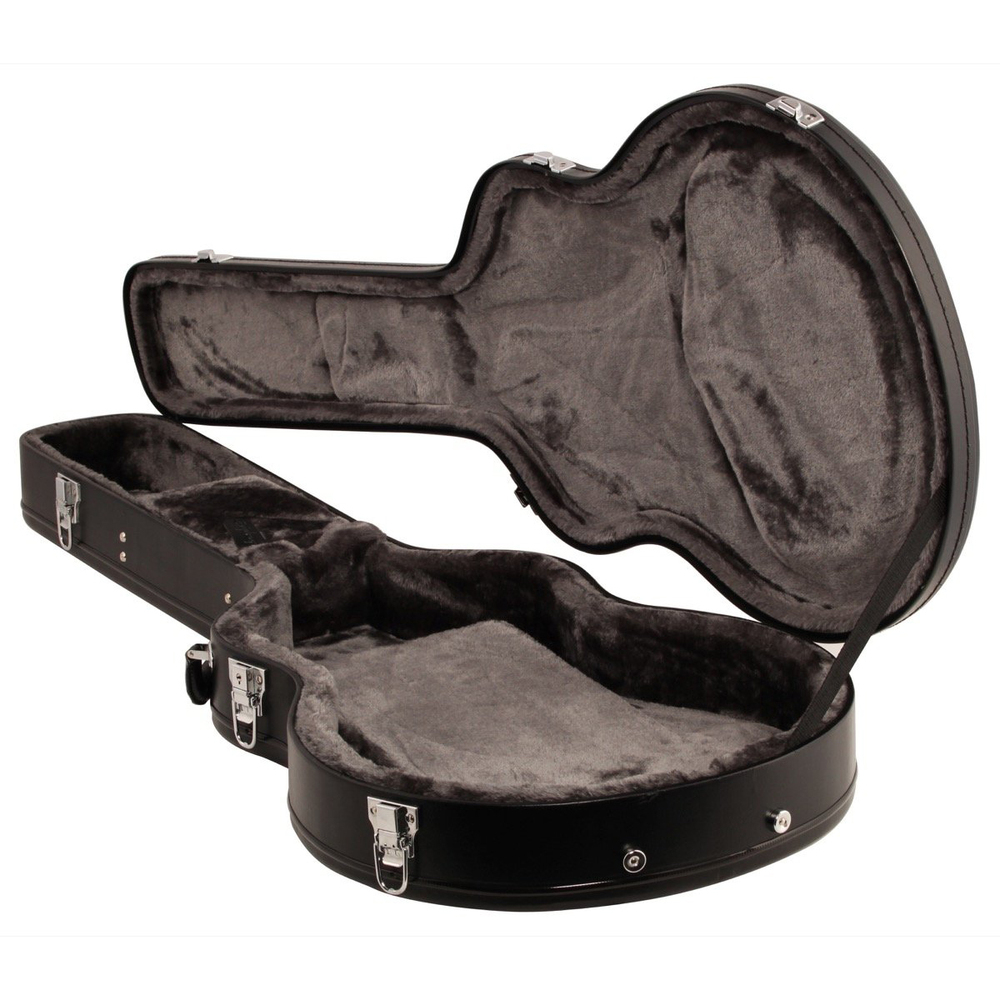 epiphone sheraton case